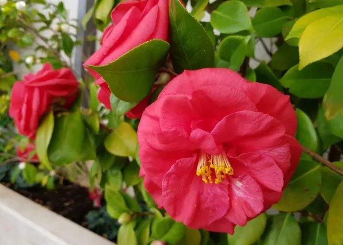 Sandra Solitudo Iii Apartman *