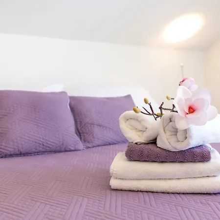 Sandra Solitudo Iii *